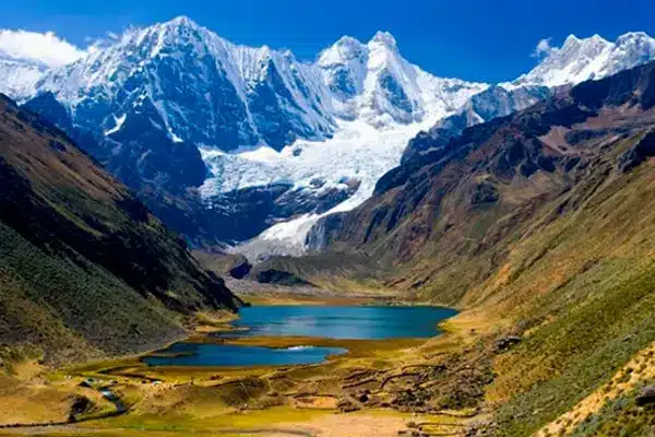 Selva central